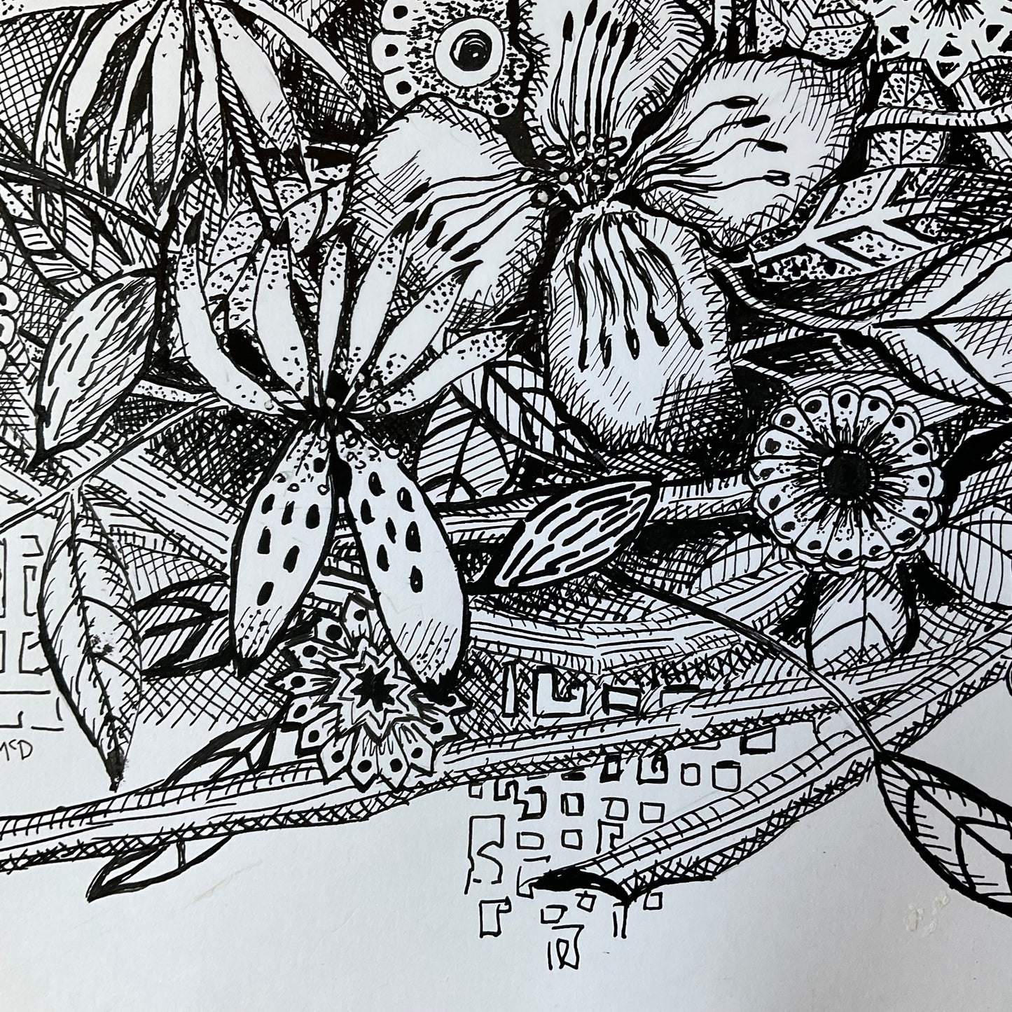 Anticipation of Summer