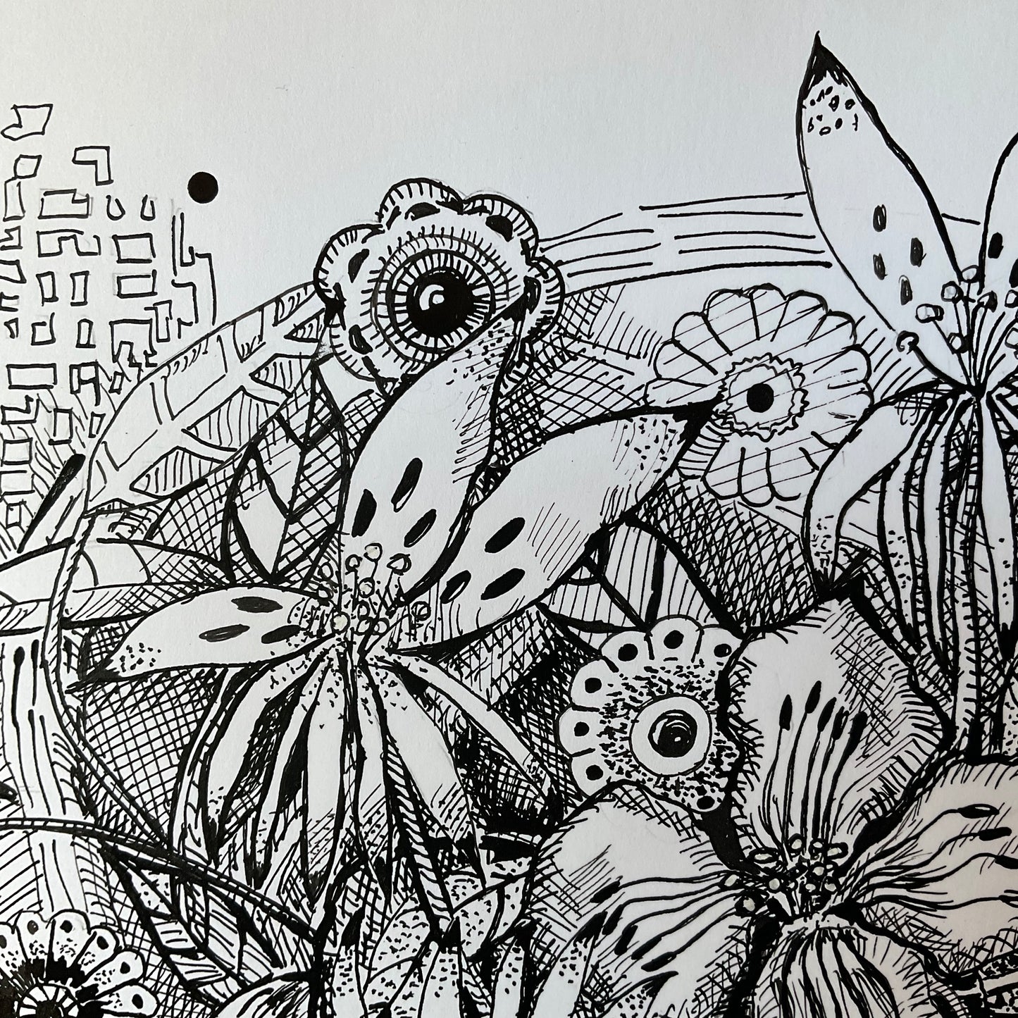 Anticipation of Summer