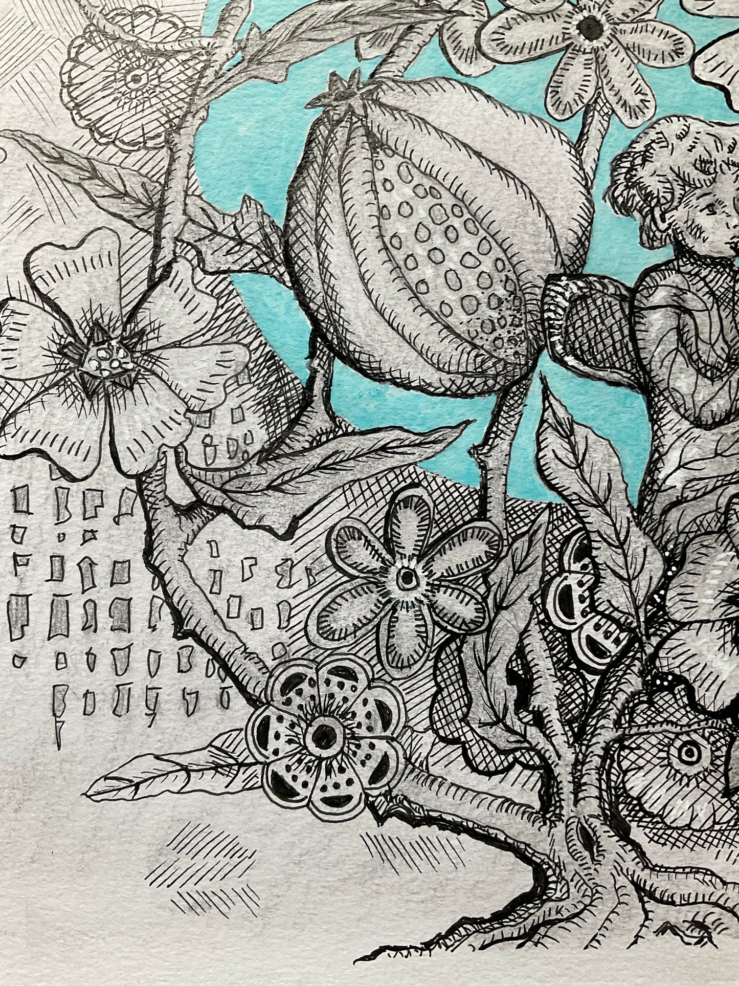 The Botanists Dream