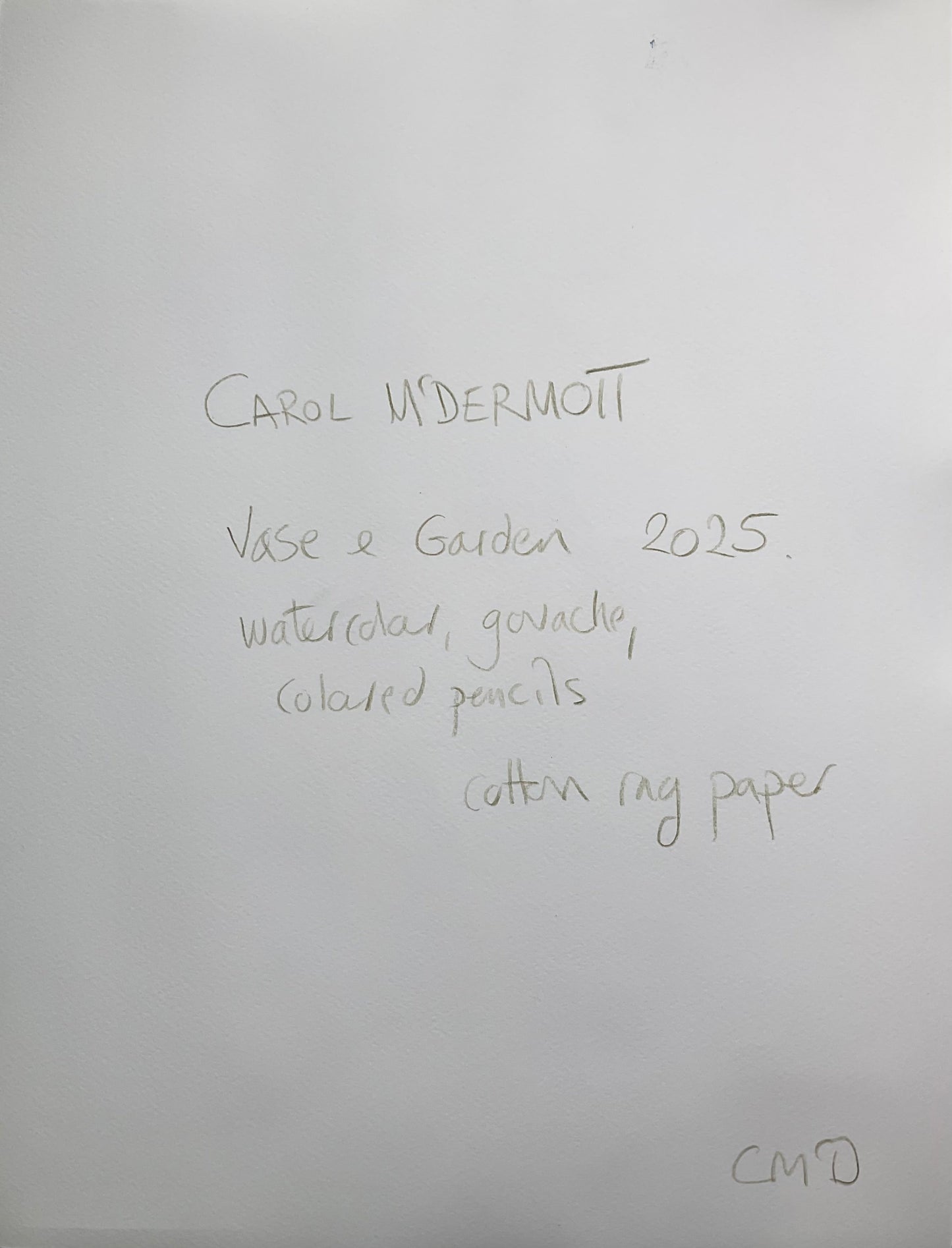 Vase & Garden - Artist Carol McDermott - artwork on paper