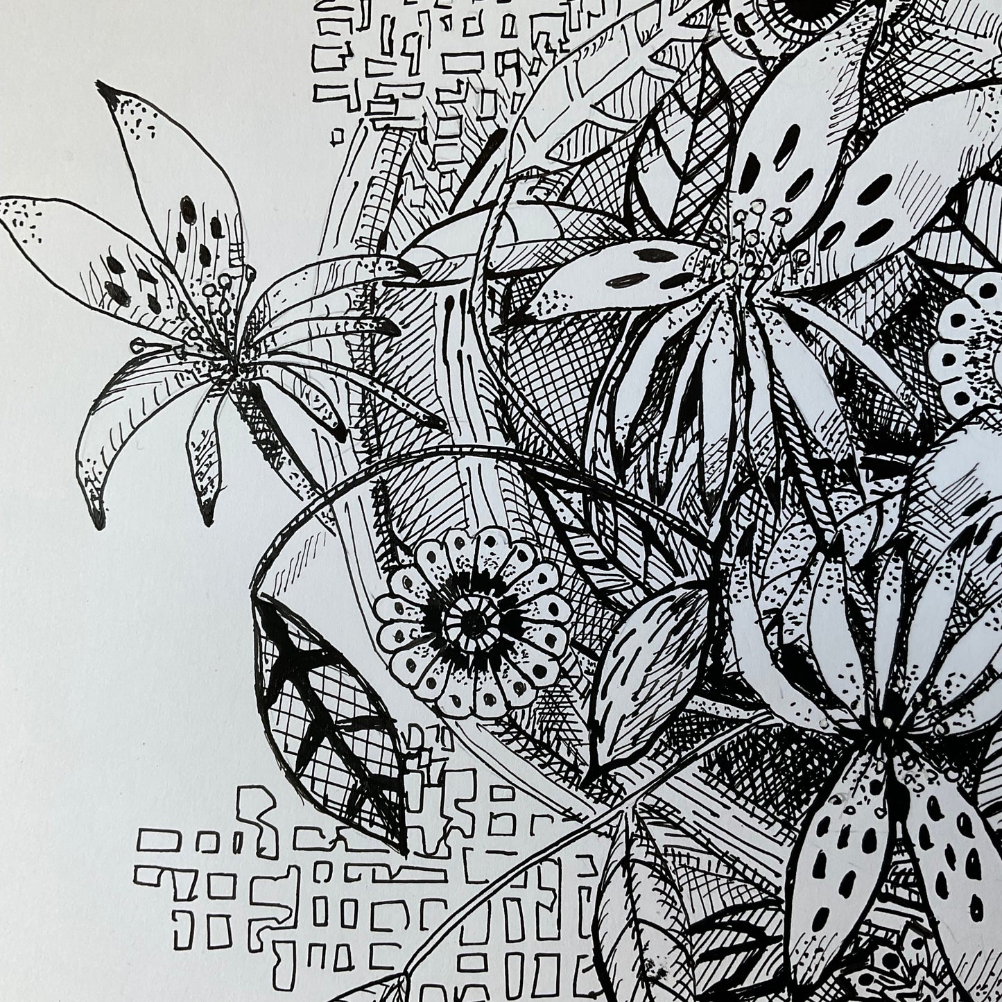 Anticipation of Summer - Artist Carol McDermott - artwork on paper