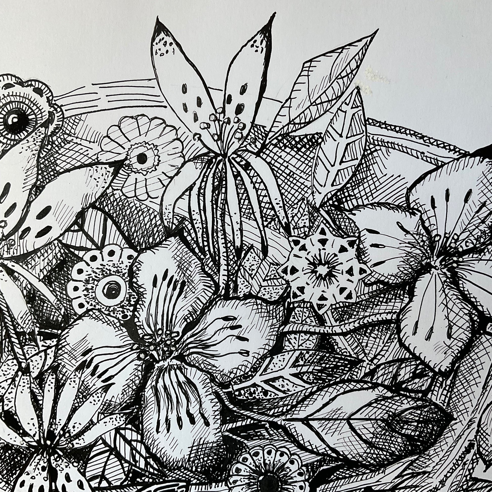 Anticipation of Summer - Artist Carol McDermott - artwork on paper