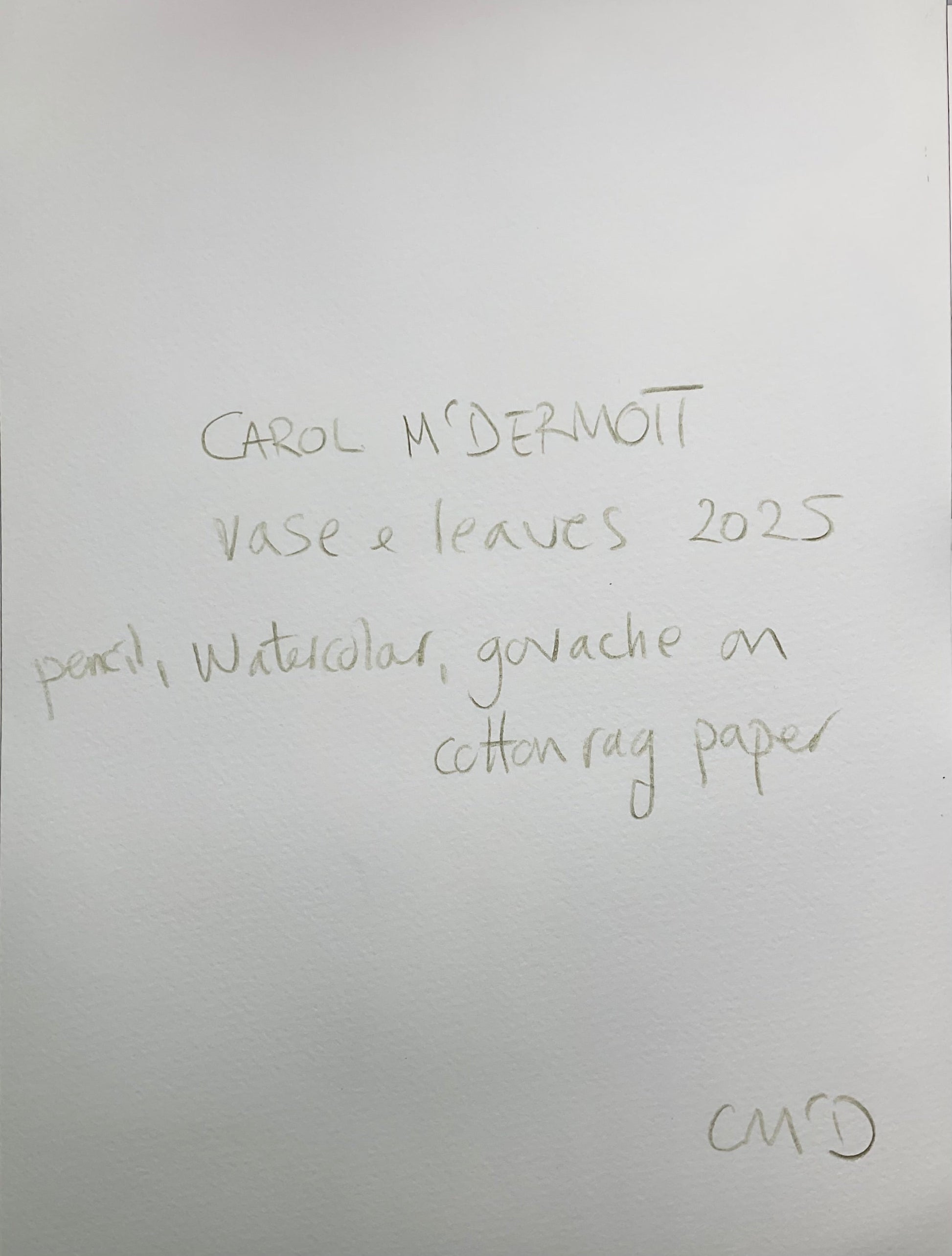 Vase & Leaves - Artist Carol McDermott - artwork on paper